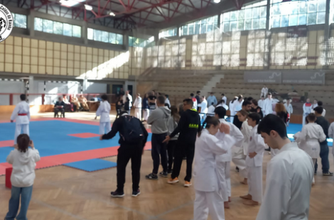 Evento da Shotokan Karate Internacional Portugal